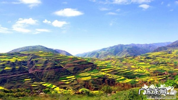 天水武山县美食,武山火锅店有哪些
