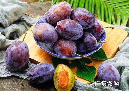 西梅就是李子,西梅和李子是一种水果