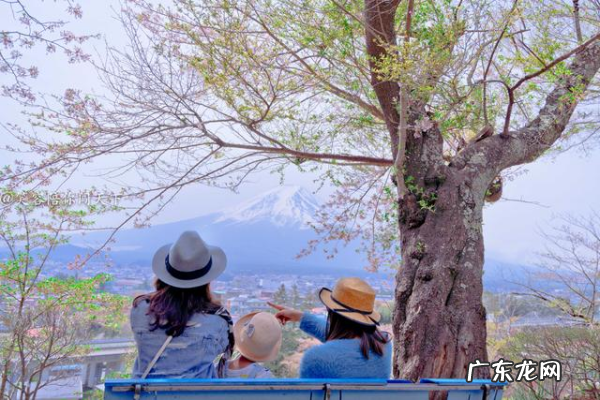 富士山浅间神社的主人是谁,日本富士山是谁的私人财产