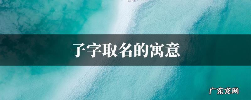 子灿的名字寓意,洋娃娃取名叫子什么好听