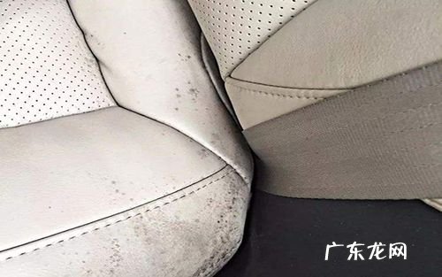 皮革发霉起斑处理小妙招,皮衣发霉起斑处理小妙招
