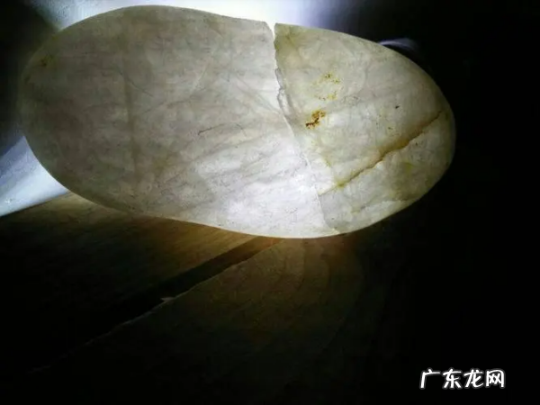 汉白玉是大理石,汉白玉是大理石还是花岗岩