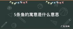 5条鱼的寓意是什么意思 几条鱼的寓意和象征