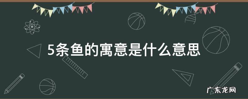 5条鱼的寓意是什么意思 几条鱼的寓意和象征