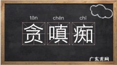 嗔痴怎么读,皆由无始贪嗔痴什么意思