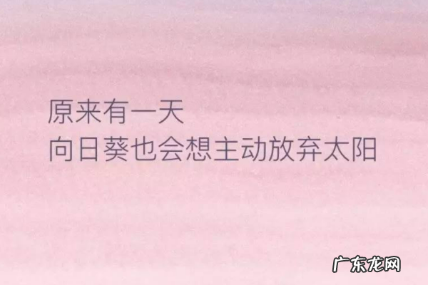 各种烟的寓意,炫赫门烟的寓意是什么意思