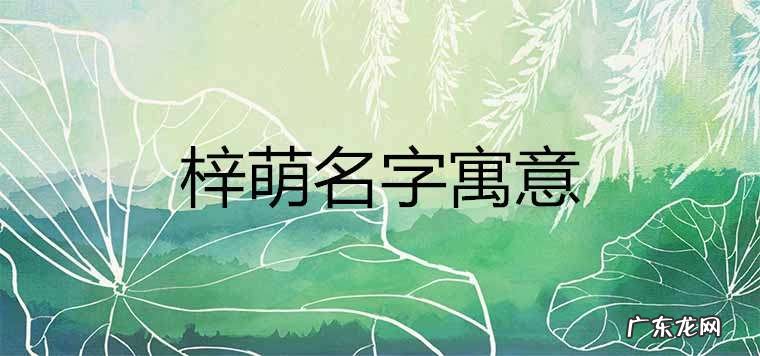晨轩名字的含义是什么意思,张晨轩这个名字的含义是什么说的很详细