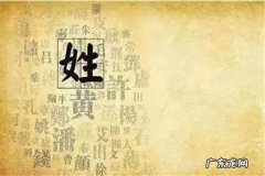 和姓的来源和历史,云南茶姓人的来历