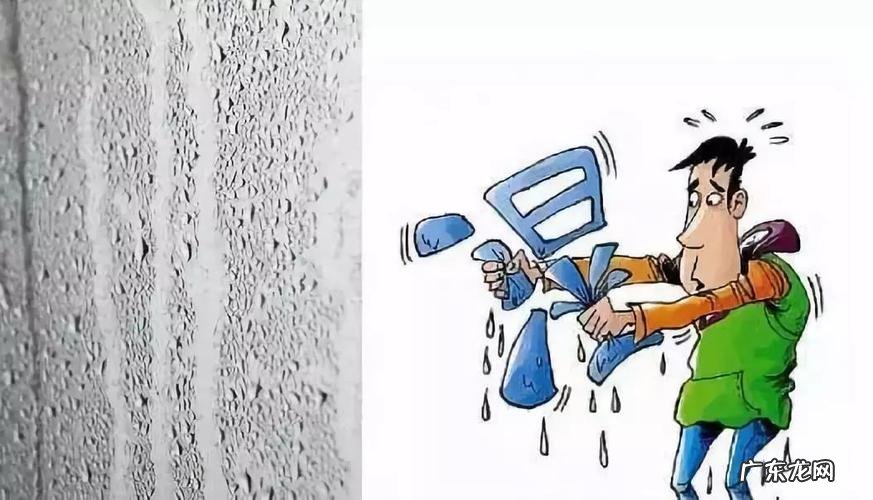 南方潮湿天气如何除湿,回南天怎样除湿最有效