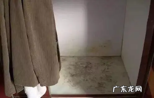 南方潮湿天气如何除湿,回南天怎样除湿最有效