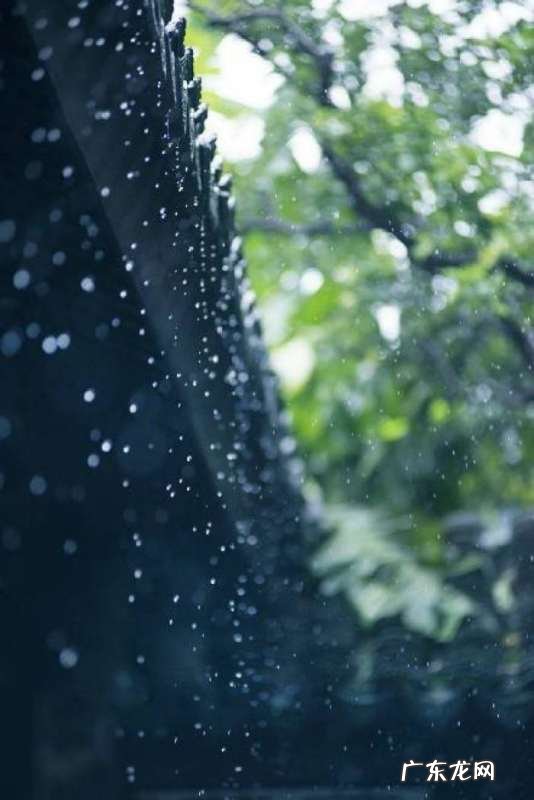 南方潮湿天气如何除湿,回南天怎样除湿最有效