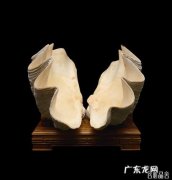 砗磲怎么读,砗磲怎么读是不是读作che qu