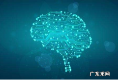 认知方式有哪些,不属于认知偏好类型有哪些