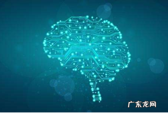认知方式有哪些,不属于认知偏好类型有哪些