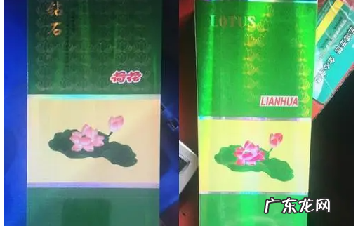 荷花烟有什么寓意,荷花烟代表什么象征意义