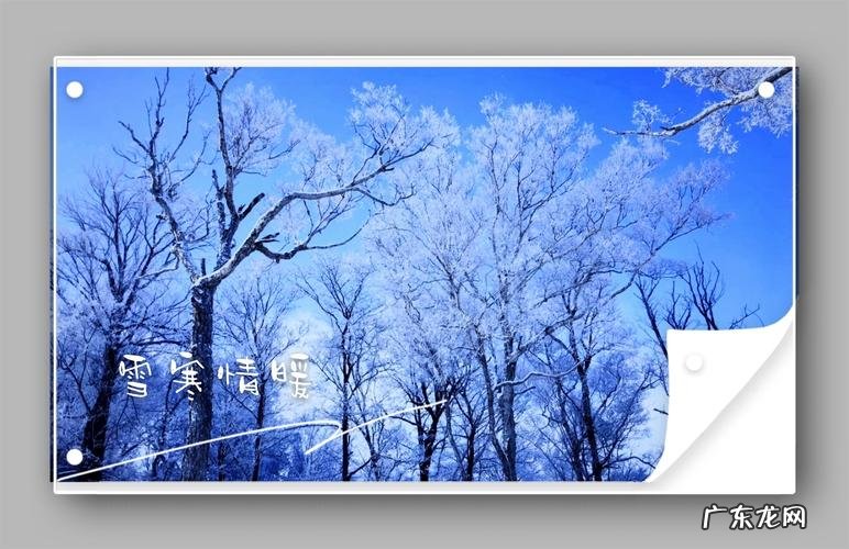 雪寒的寓意是什么,六月下雪的寓意是什么