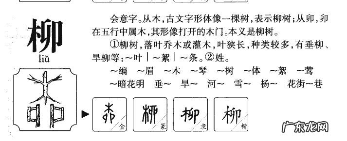 柳在名字中的寓意,柳字取名的含义是什么