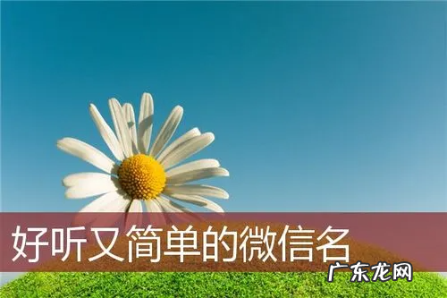 好听微信名字,好听的微信名字大全 昵称 女生