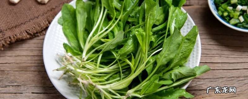 荠菜的吃法有几种 荠菜的功效的吃法大全