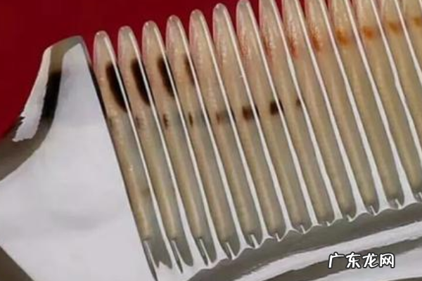 牛角梳为什么不能沾水,为什么牛角梳不能沾水