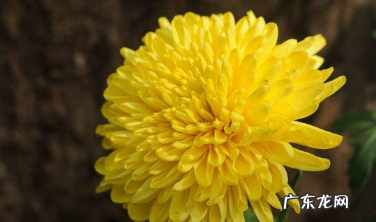 有的有的有的还有的写一段话,有的有的还有的写一段话三年级下册