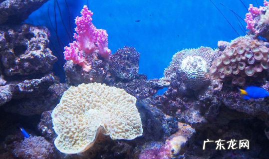 有的有的有的还有的写一段话,有的有的还有的写一段话三年级下册