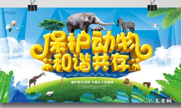 保护动物的宣传语,有关保护动物的宣传语