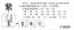 紫寒是什么寓意,女孩名字赵紫什么好