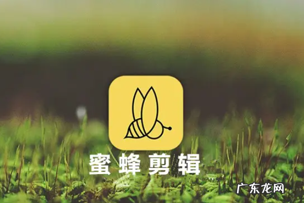 什么软件能将相片制作成,把照片做成的软件