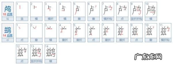 捉鱼的鸟鸬鹚怎么读,鹯怎么读
