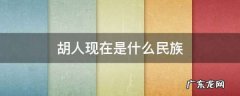胡人现在是什么民族,胡人是什么民族