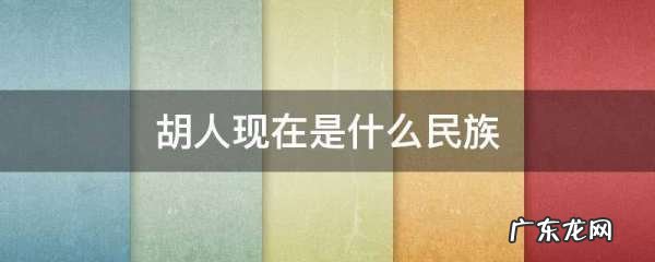 胡人现在是什么民族,胡人是什么民族