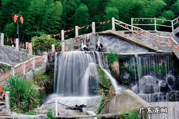 岳阳樱花园在哪里,樟树樱花园在哪里