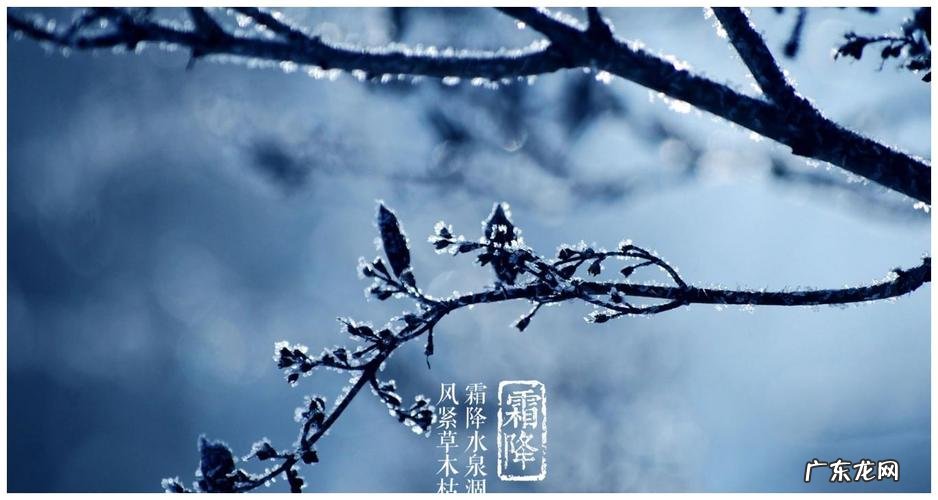 霜在古代的寓意,落花是古典文学中常见的意象