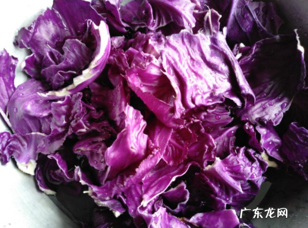 紫甘蓝怎么做菜,紫甘蓝的做法大全家常