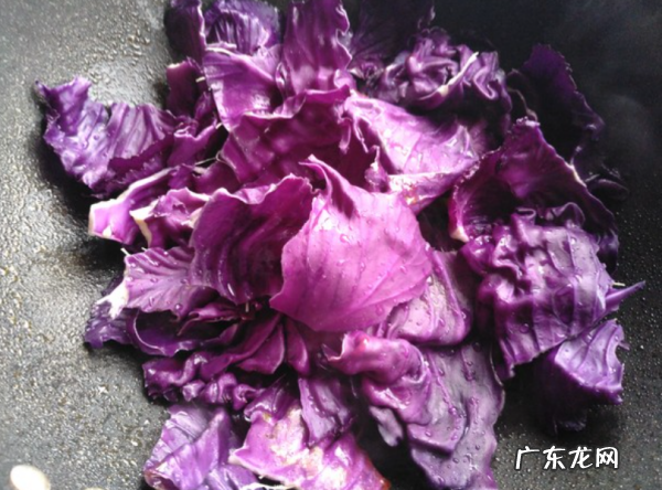 紫甘蓝怎么做菜,紫甘蓝的做法大全家常