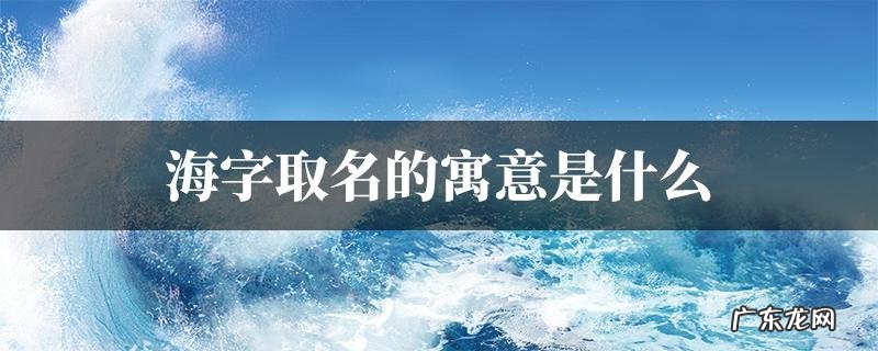 海之言的寓意是什么,海之言有什么特殊含义