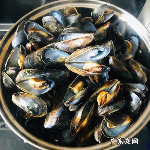 煮熟的海虹隔夜能吃,海虹煮熟后吃不完怎么办