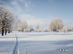 风的雅称和别称,春风的别称和雅称是什么