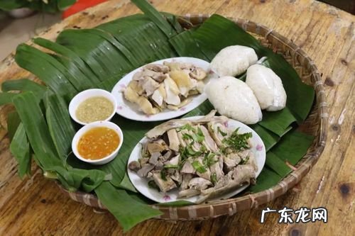 琼海美食攻略小吃,琼海特产水果有哪些