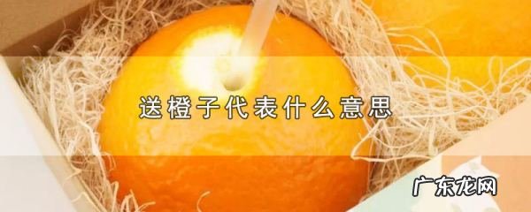 寄橙子的寓意,送橙子代表什么意思
