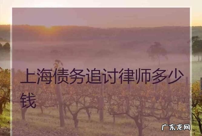 追讨公司债务律师费由谁承担,哪些情况下律师费由败诉方承担