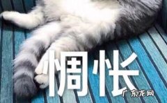 怅惘是什么意思,怅惘是什么意思是什么