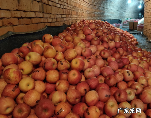 三门峡美食,三门峡有什么特色美食小吃