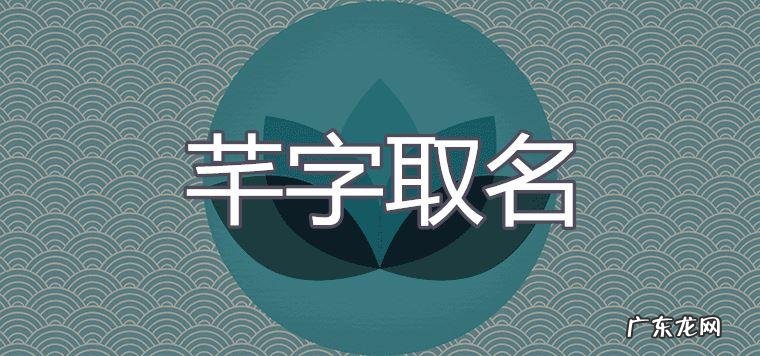 芳字取名寓意是什么,女孩叫芳的名字有什么寓意