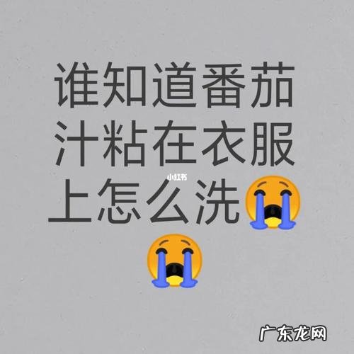 白衣服上番茄汁怎么洗,白衣服沾了番茄酱怎么能洗掉