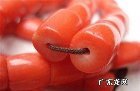 海竹是什么材质,海竹珊瑚与珊瑚的区别