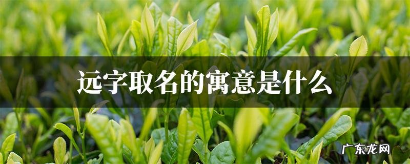 远舟名字寓意,诗经楚辞中好听的男孩的名字