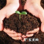花盆土壤干湿测试仪怎么用,三合一土壤检测仪要多少钱