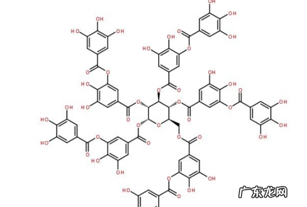 茶的鞣质指什么,茶叶的主要成分有哪些含量多少有何作用